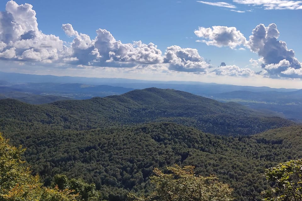 Postojna: Bear Watching Tour With Ranger and Local Guide - Additional Activities in Postojna