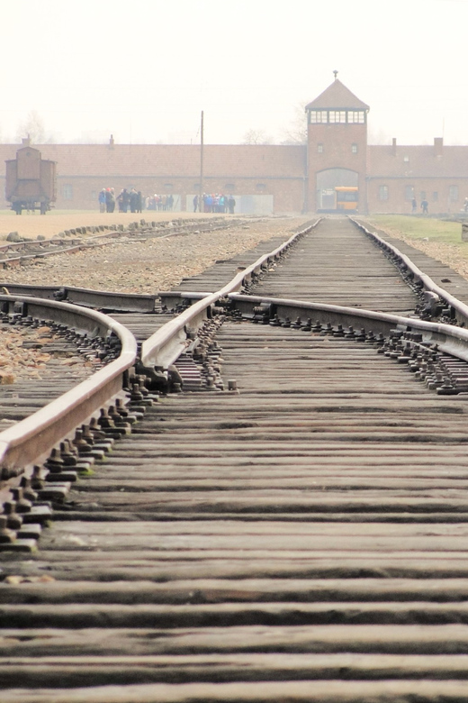 Premium Auschwitz-Birkenau Guided Tour From Krakow - Tips for a Successful Visit