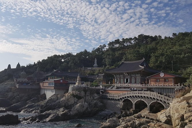 (Private) 9-Days Tasty Journey Around South Korea Tour - Accommodation Options