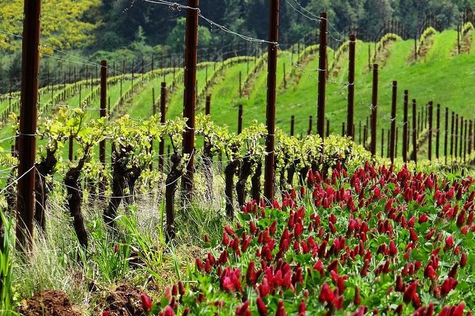 Private Customized Willamette Valley Wine Maker Tour With Lunch - Booking Information