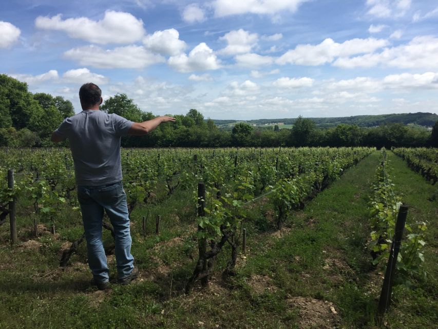 Private Day Tour to Loire Valley Castles & Wines From Paris - Tips for Your Tour