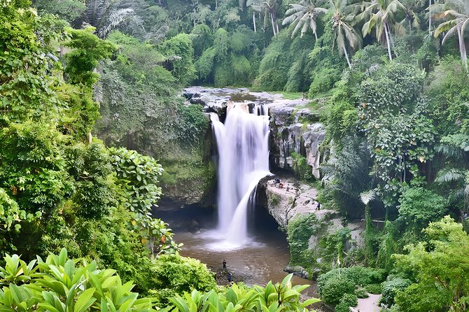 Private Half-Day Tour: The Best Ubud Half Day Trip Packages - Tips for a Successful Tour