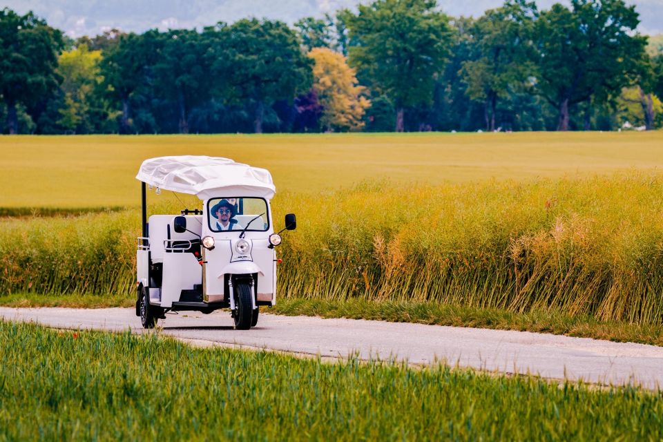 Private Highlights Top Places Tour Electric TukTuk 1h - Booking Your TukTuk Experience