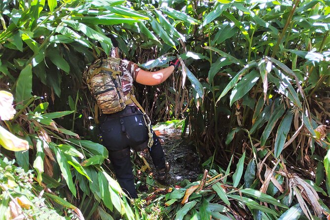 Private Jungle Waterfall Adventure, Wit Da Native Hawaiian Dundee - Why Choose This Tour