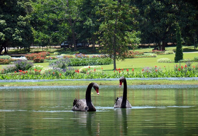 Private Mandalay Excursion to Maymyo - Popular Attractions and Activities