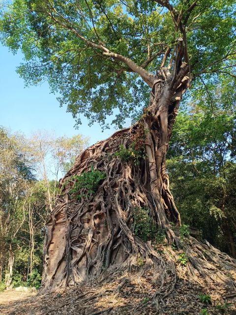 Private One Day Tour to Sambor Prei Kuk Group - Visit Kampong Kdei Bridge