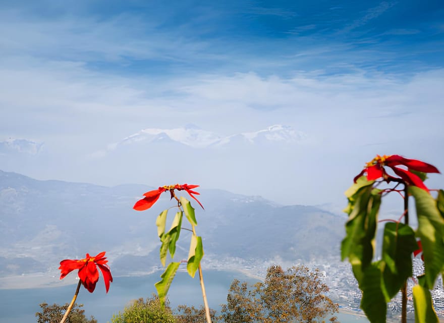 Private: Sarangkot Sunset Tour From Pokhara - Frequently Asked Questions