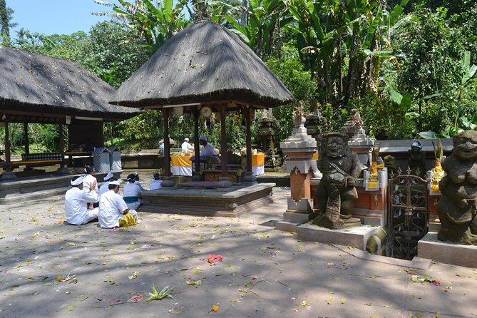 Private Tour: Bali Temple and Countryside Tour - Booking Your Private Tour