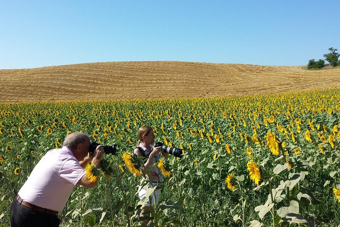 Private Tour: Orcia Valley to Montalcino and Montepulciano With Brunello Wine Tasting - Scenic Drive Through Orcia Valley