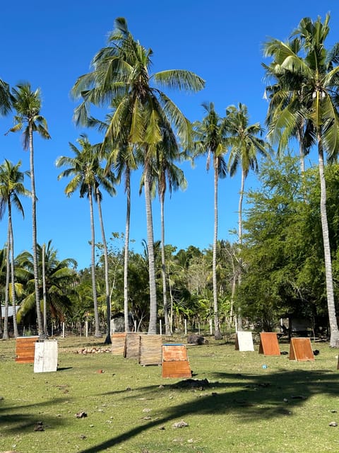 Private Tour PAMILACAN Island Turtle & Dolphin Watching - Cultural Immersion