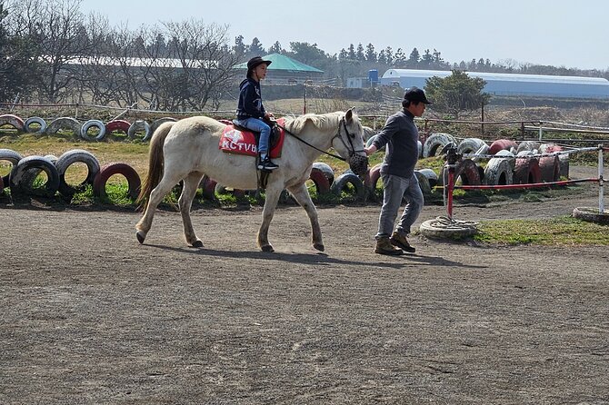 Private Tour South and West Jeju Island With Experienced Driver - Scenic Walk at Yongmeori
