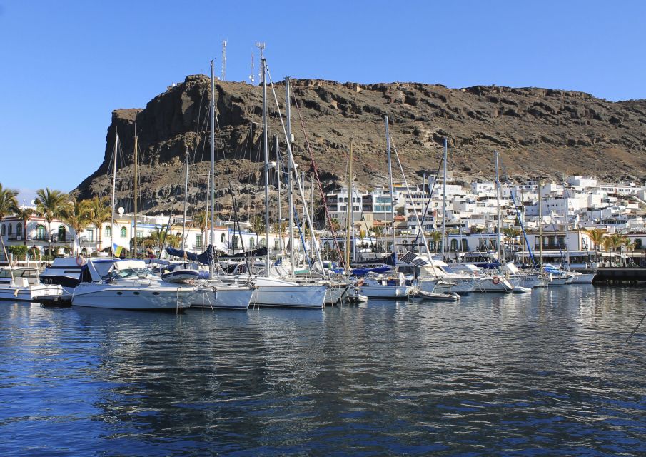 Puerto De Mogan: Boat and Snorkeling Trip - Family-Friendly Features