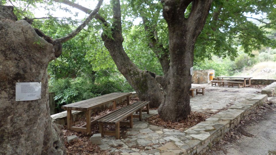 Quad Safari Ierapetra Day Tour - Discovering Hidden Lake Bramiana