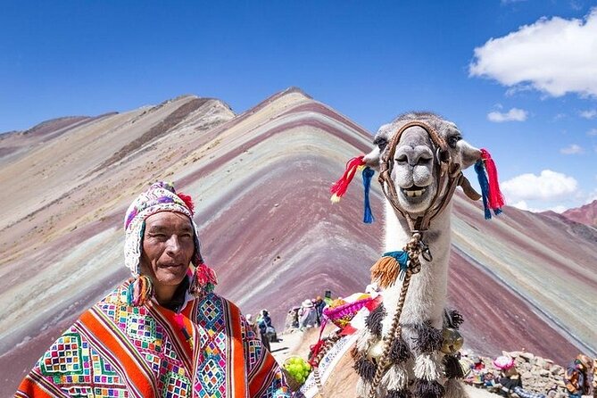 Rainbow Mountain Tour Includes Buffet Lunch - Ecosystems and South American Camelids