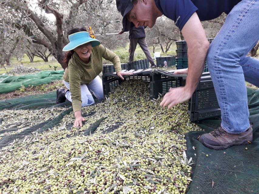 Rethymno: Olive Oil Tasting With Cretan Food Pairing - Booking and Cancellation