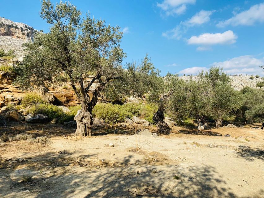 Rhodes: Guided Hike to 7 Springs From Archangelos - Engaging Guides