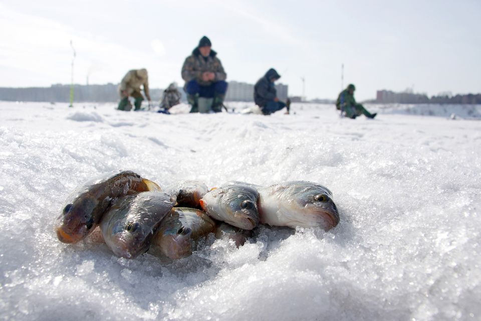 Rovaniemi: Arctic Circle Ice Fishing Experience - Best Time to Go