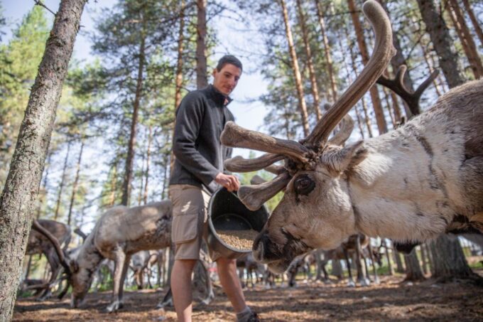 Rovaniemi: Authentic Reindeer Farm & Canoeing - Canoeing Adventure Details