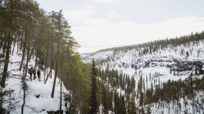 Rovaniemi: Frozen Waterfalls of Korouoma Canyon Hike - Wildlife Encounter Opportunities