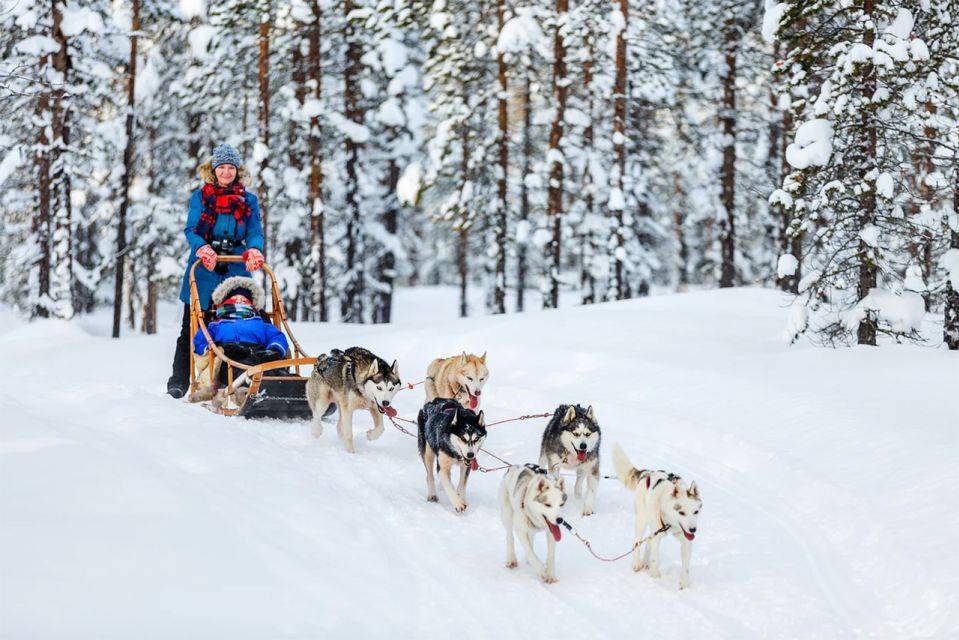 Rovaniemi: Full-Day Highlights Tour With Buffet Lunch - Booking and Cancellation Policy