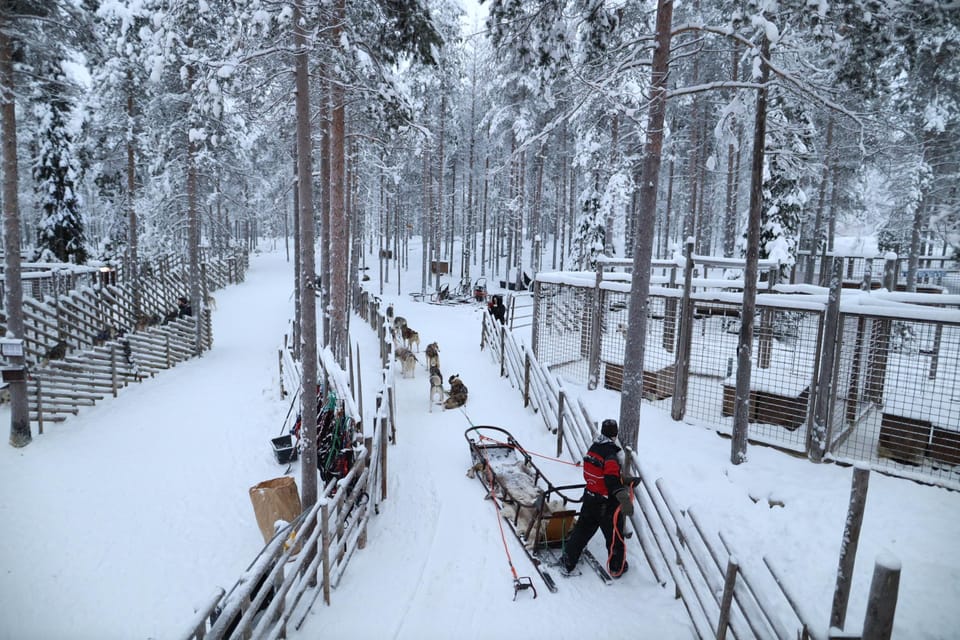 Rovaniemi Highlight Husky, Reindeers Sledge Ride Santa Claus - Booking Your Adventure