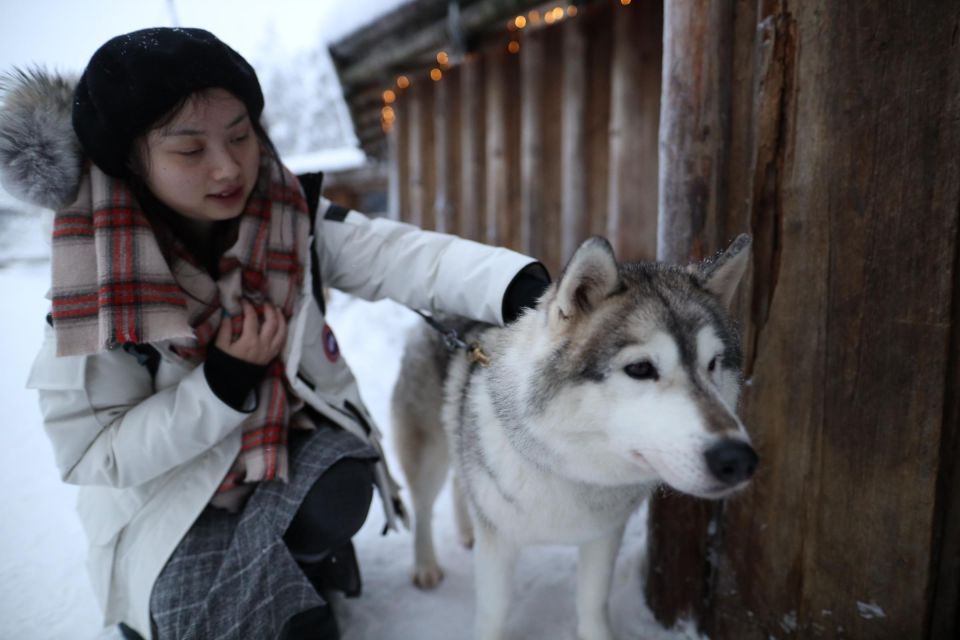 Rovaniemi: Husky and Reindeer Farm Visit With Sleigh Rides - Additional Activities in Rovaniemi