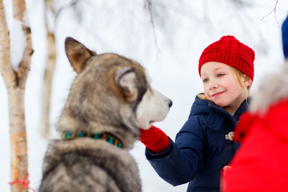 Rovaniemi: Husky Park and Reindeer Farm Combo - Tips for an Enjoyable Visit