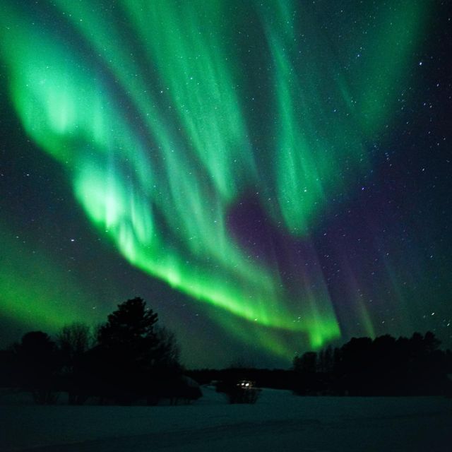 Rovaniemi: Northern Lights Hunt With a Photographer - Booking Information