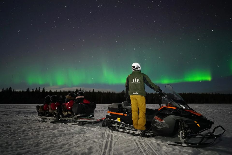 Rovaniemi: Northern Lights Sleigh Ride - Frequently Asked Questions