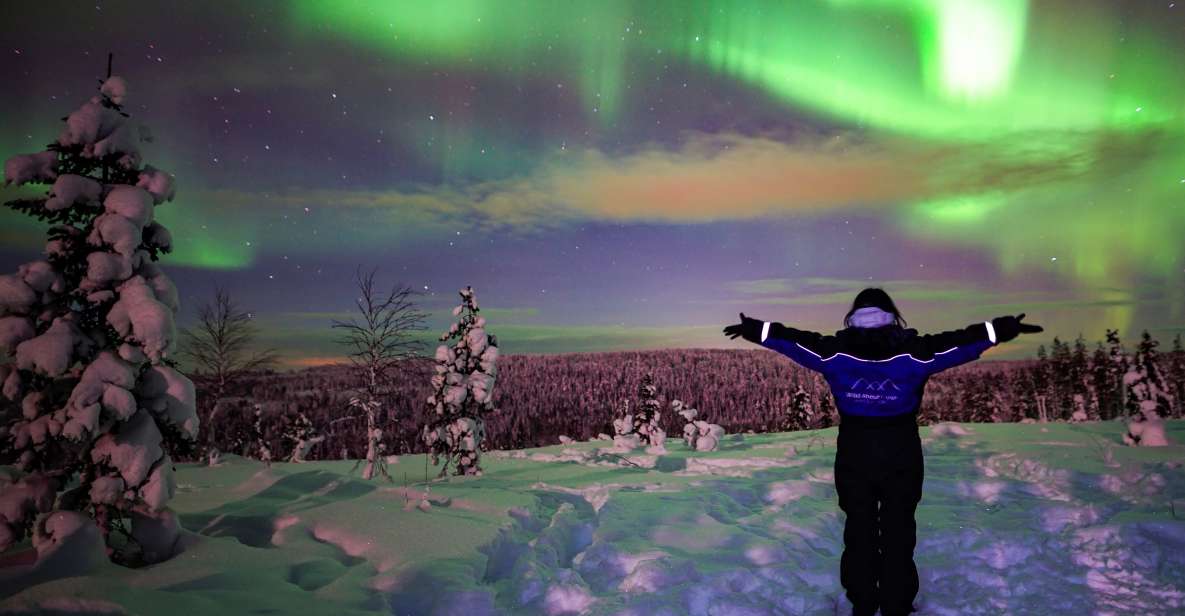 Rovaniemi: Northern Lights Wilderness Tour With Camera - Booking Information