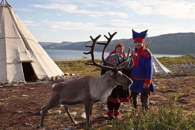 Rovaniemi: Reindeer Farm Visit in the Summer - What to Expect