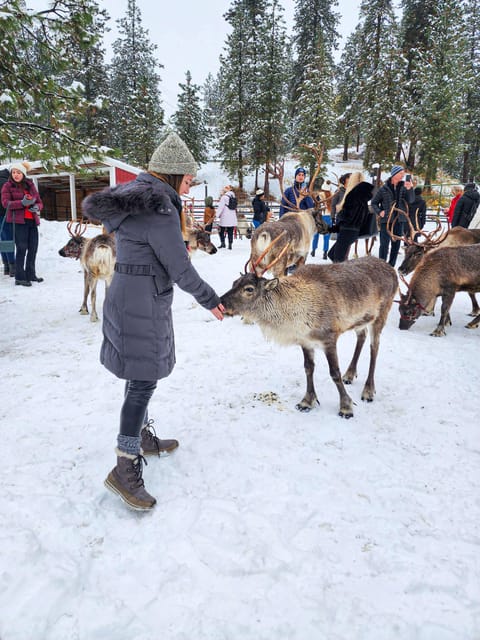 Rovaniemi: Saami Reindeer Farm Visit & Sleigh Ride - Dress Code and Preparation