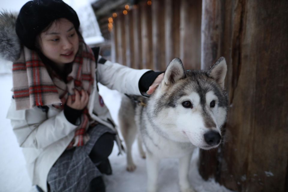 Rovaniemi: Santa Claus Village Tour & Reindeer & Husky Ride - Frequently Asked Questions