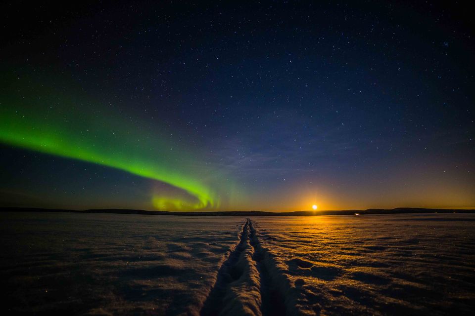 Rovaniemi: Search for Northern Lights Snowmobiling Trip - Customer Ratings and Reviews