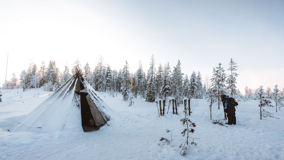 Rovaniemi: Ski Trekking Safari in Lapland - What to Expect on the Trek