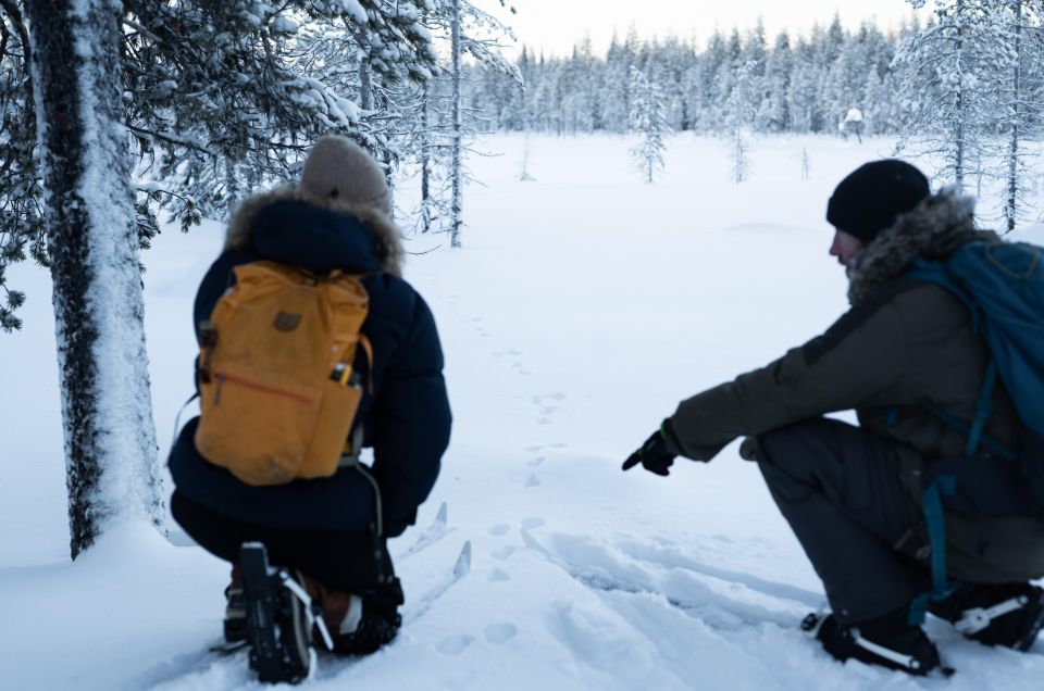 Rovaniemi: Small-group Ski Trek to the Wilderness - Booking Details