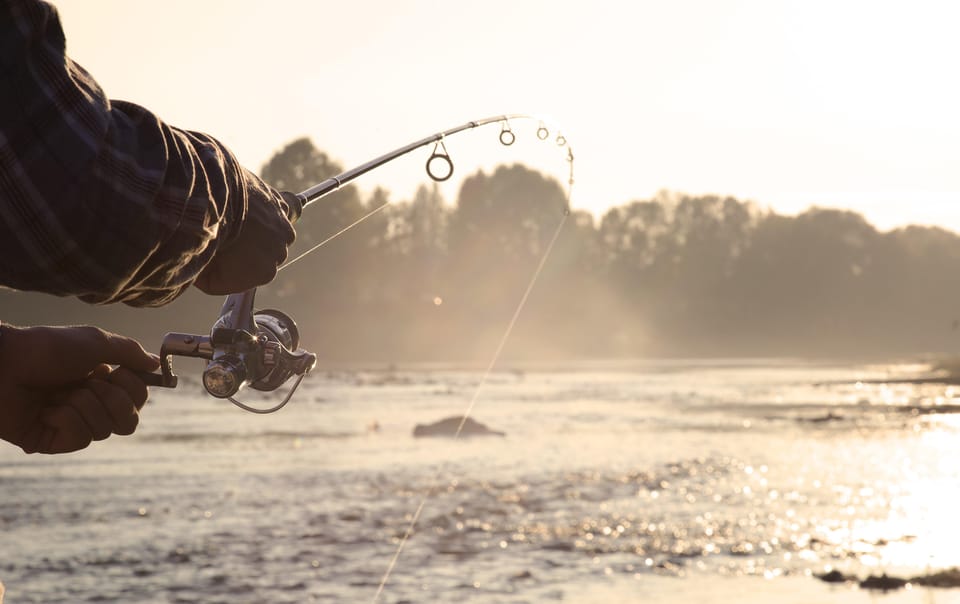 Rovaniemi: Summer Fishing Tour in Arctic Nature & BBQ - Best Time to Visit