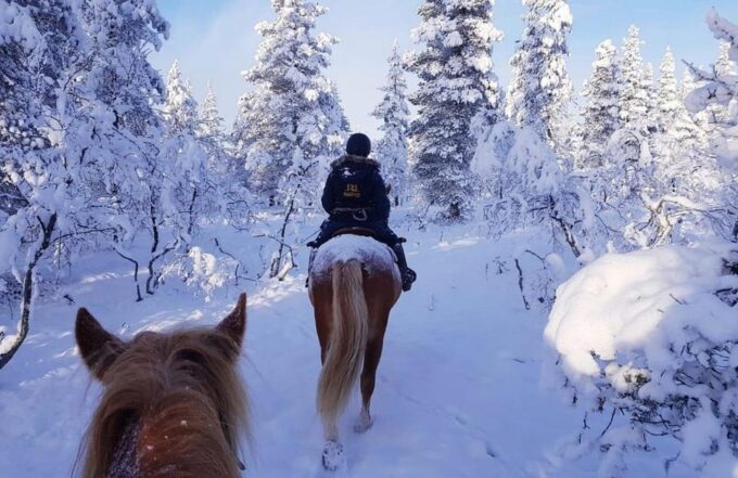 Rovaniemi: Winter Horse Riding in Arctic Nature - What to Expect