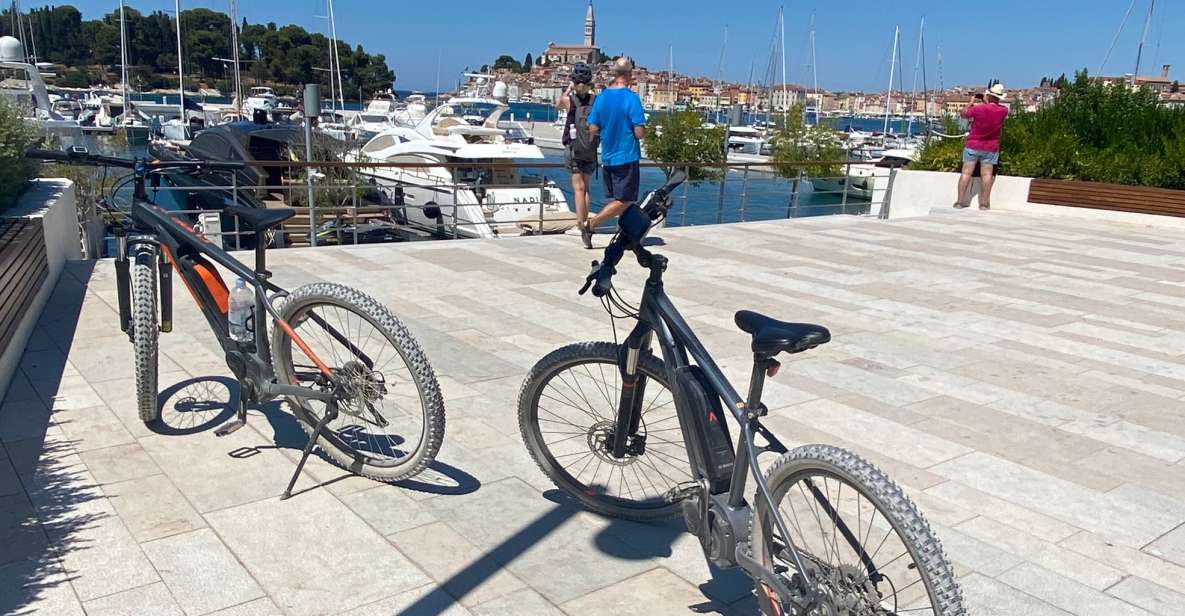 Rovinj E-Bike Round Tour - Istrian Countryside and Olive Groves