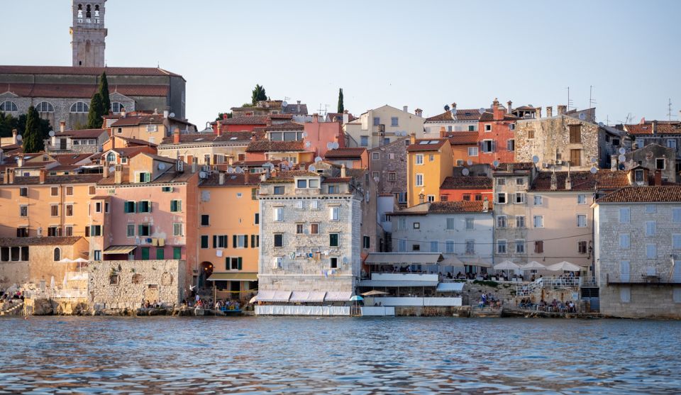 Rovinj: Sunrise Dolphins & Fishermen at Work Speedboat Tour - Dolphin Watching and Marine Life Viewing