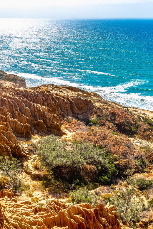 San Diego: Beaches & Bluffs Self-Guided Driving Tour - Discovering Torrey Pines State Reserve