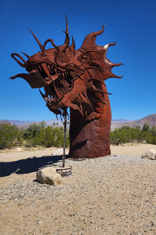 San Diego Desert: Full Day Small Group 4x4 Truck Tours - Best Times to Visit