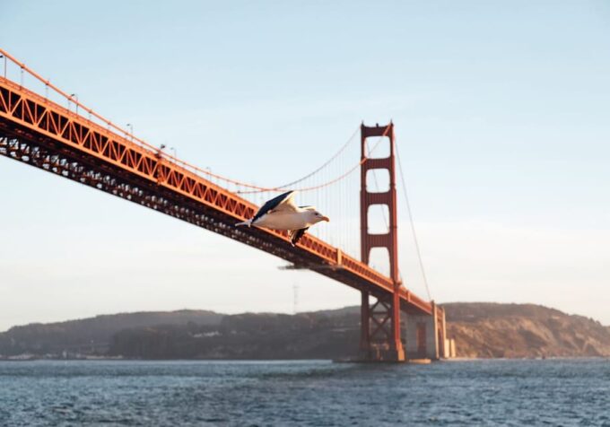 San Francisco: Easter Buffet Brunch or Dinner Bay Cruise - Important Cruise Information