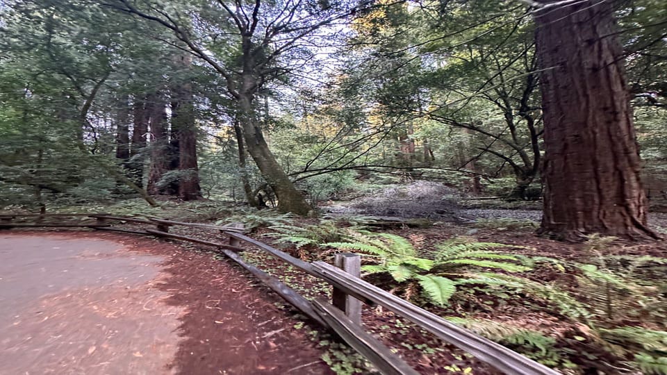 San Francisco: Muir Woods, Sausalito, and Sonoma Wine Tour - Customer Feedback and Ratings