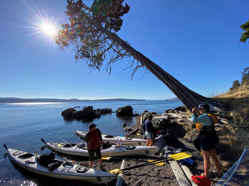 San Juan Island: Full Day Kayaking Tour - Meeting Point Details