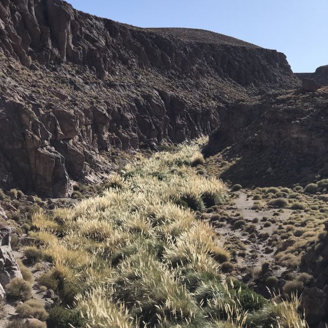 San Pedro De Atacama: Canyon Swimming Pools Trekking Trip - What to Expect