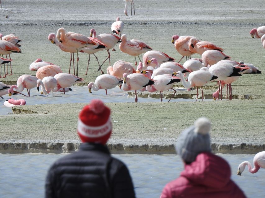 San Pedro De Atacama: Uyuni Salt Flats 4-Day Tour - Inclusions and Exclusions