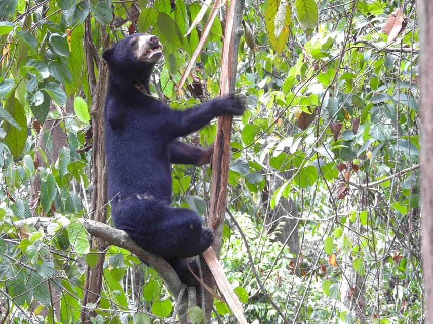 Sandakan: Orangutan Sanctuary Shared Day Trip Tour - Booking Information