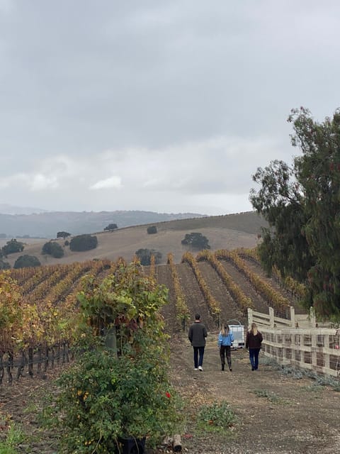 Santa Barbara: Private Guided Wine Tour With Lunch - What to Bring