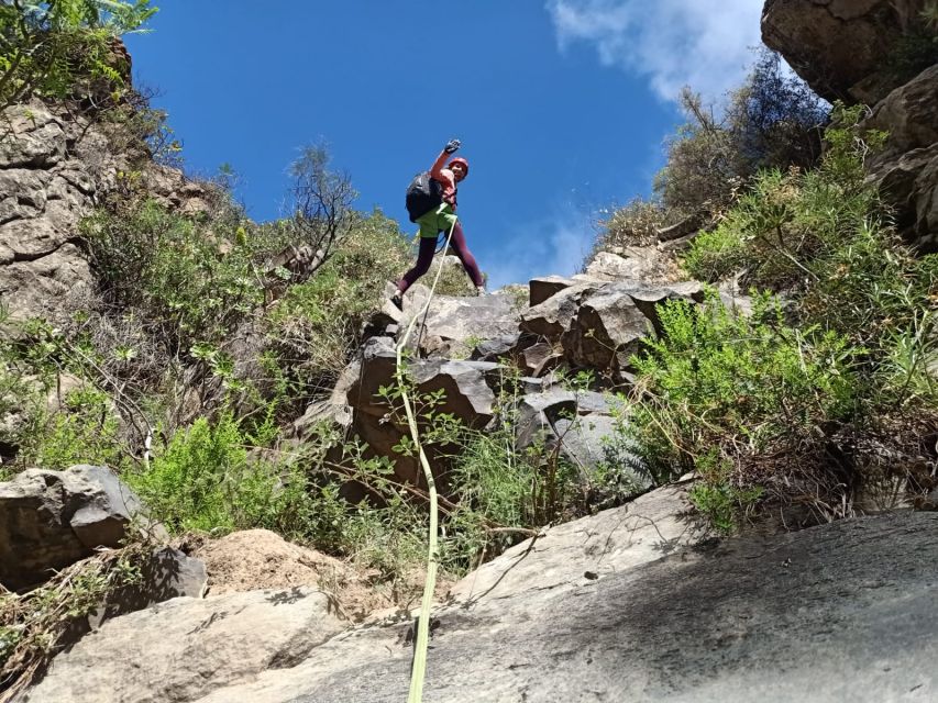 Santa Cruz De Tenerife: Vilaflor Canyoning Tour - Group Size and Languages